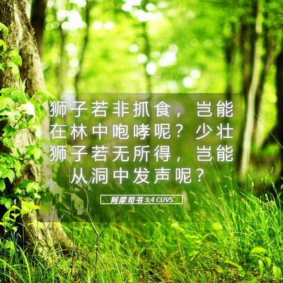 Picture 05 - 阿 摩 司 书 3:4 CUVS - 狮 子 若 非 抓 食 ， 岂 能 在 林 中 - Bible Verse Picture