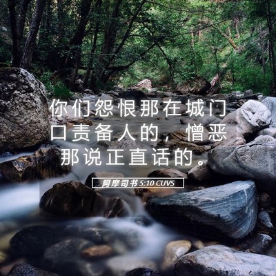 Picture 05 - 阿 摩 司 书 5:10 CUVS - 你 们 怨 恨 那 在 城 门 口 责 备 人 - Bible Verse Picture