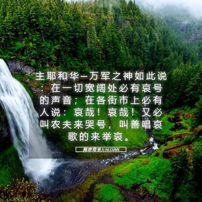 Picture 05 - 阿 摩 司 书 5:16 CUVS - 主 耶 和 华 ─ 万 军 之 神 如 此 说 - Bible Verse Picture