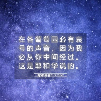 Picture 05 - 阿 摩 司 书 5:17 CUVS - 在 各 葡 萄 园 必 有 哀 号 的 声 音 - Bible Verse Picture