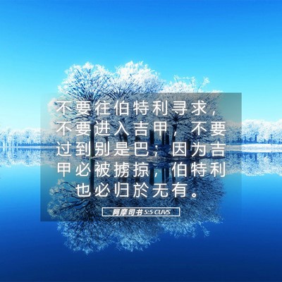 Picture 05 - 阿 摩 司 书 5:5 CUVS - 不 要 往 伯 特 利 寻 求 ， 不 要 进 - Bible Verse Picture