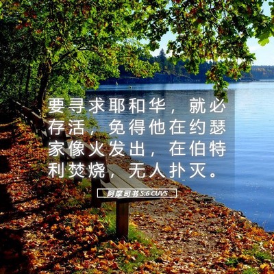 Picture 05 - 阿 摩 司 书 5:6 CUVS - 要 寻 求 耶 和 华 ， 就 必 存 活 ， - Bible Verse Picture
