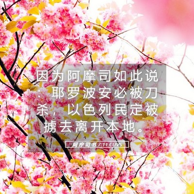 Picture 05 - 阿 摩 司 书 7:11 CUVS - 因 为 阿 摩 司 如 此 说 ： 耶 罗 波 - Bible Verse Picture