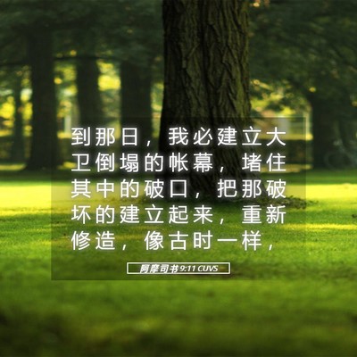 Picture 05 - 阿 摩 司 书 9:11 CUVS - 到 那 日 ， 我 必 建 立 大 卫 倒 塌 - Bible Verse Picture