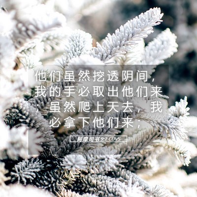 Picture 05 - 阿 摩 司 书 9:2 CUVS - 他 们 虽 然 挖 透 阴 间 ， 我 的 手 - Bible Verse Picture