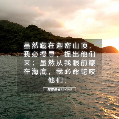 Picture 05 - 阿 摩 司 书 9:3 CUVS - 虽 然 藏 在 迦 密 山 顶 ， 我 必 搜 - Bible Verse Picture