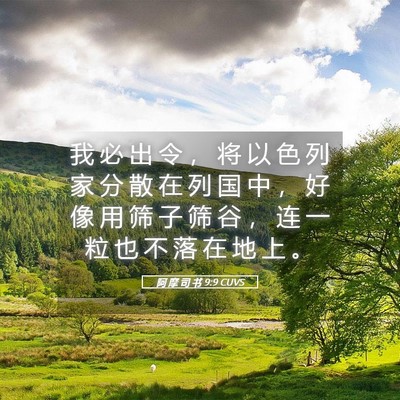 Picture 05 - 阿 摩 司 书 9:9 CUVS - 我 必 出 令 ， 将 以 色 列 家 分 散 - Bible Verse Picture