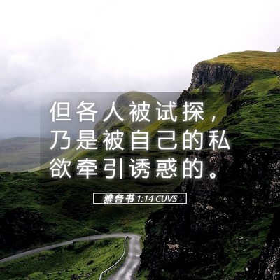 Picture 05 - 雅 各 书 1:14 CUVS - 但 各 人 被 试 探 ， 乃 是 被 自 己 - Bible Verse Picture