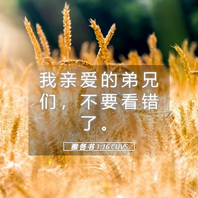 Picture 05 - 雅 各 书 1:16 CUVS - 我 亲 爱 的 弟 兄 们 ， 不 要 看 错 - Bible Verse Picture