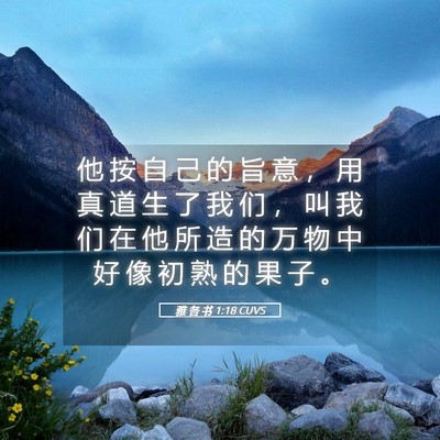 Picture 05 - 雅 各 书 1:18 CUVS - 他 按 自 己 的 旨 意 ， 用 真 道 生 - Bible Verse Picture