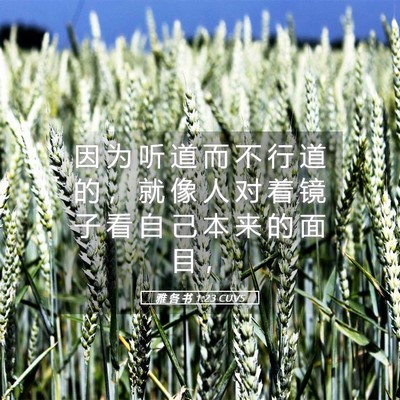 Picture 05 - 雅 各 书 1:23 CUVS - 因 为 听 道 而 不 行 道 的 ， 就 像 - Bible Verse Picture