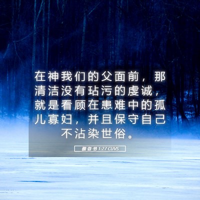 Picture 05 - 雅 各 书 1:27 CUVS - 在 神 我 们 的 父 面 前 ， 那 清 洁 - Bible Verse Picture
