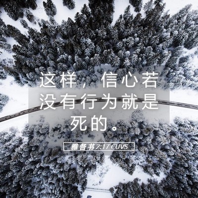 Picture 05 - 雅 各 书 2:17 CUVS - 这 样 ， 信 心 若 没 有 行 为 就 是 - Bible Verse Picture