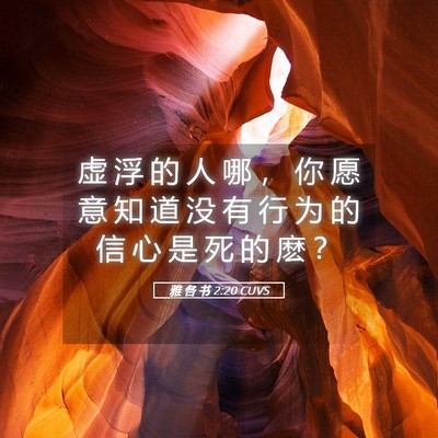 Picture 05 - 雅 各 书 2:20 CUVS - 虚 浮 的 人 哪 ， 你 愿 意 知 道 没 - Bible Verse Picture