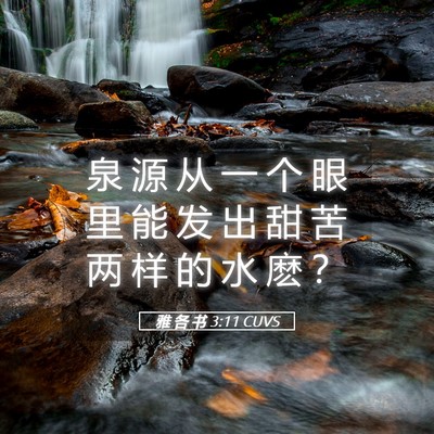 Picture 05 - 雅 各 书 3:11 CUVS - 泉 源 从 一 个 眼 里 能 发 出 甜 苦 - Bible Verse Picture