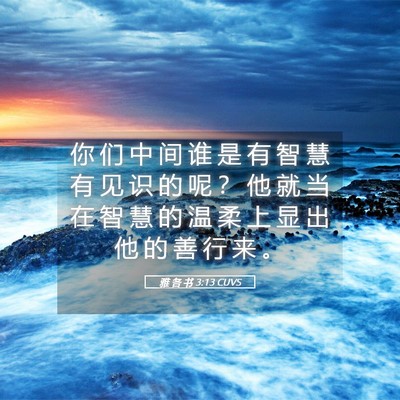 Picture 05 - 雅 各 书 3:13 CUVS - 你 们 中 间 谁 是 有 智 慧 有 见 识 - Bible Verse Picture