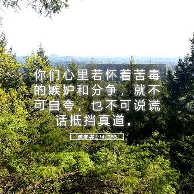Picture 05 - 雅 各 书 3:14 CUVS - 你 们 心 里 若 怀 着 苦 毒 的 嫉 妒 - Bible Verse Picture