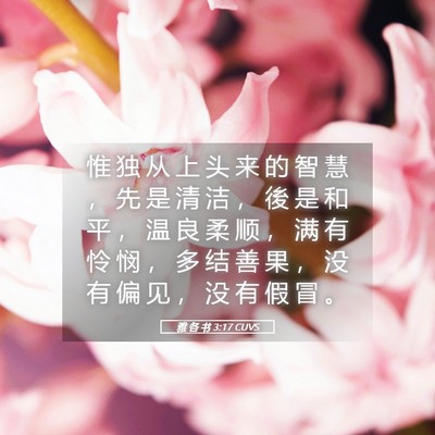 Picture 05 - 雅 各 书 3:17 CUVS - 惟 独 从 上 头 来 的 智 慧 ， 先 是 - Bible Verse Picture