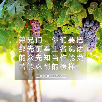 Picture 05 - 雅 各 书 5:10 CUVS - 弟 兄 们 ， 你 们 要 把 那 先 前 奉 - Bible Verse Picture
