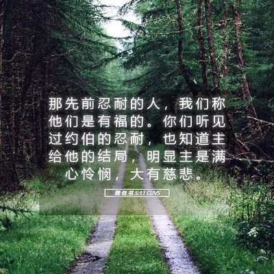 Picture 05 - 雅 各 书 5:11 CUVS - 那 先 前 忍 耐 的 人 ， 我 们 称 他 - Bible Verse Picture