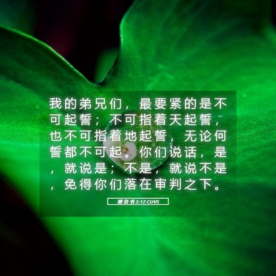 Picture 05 - 雅 各 书 5:12 CUVS - 我 的 弟 兄 们 ， 最 要 紧 的 是 不 - Bible Verse Picture