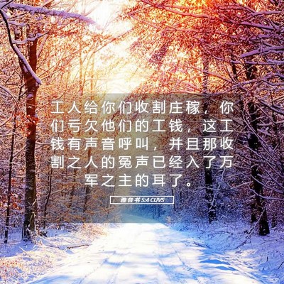 Picture 05 - 雅 各 书 5:4 CUVS - 工 人 给 你 们 收 割 庄 稼 ， 你 们 - Bible Verse Picture