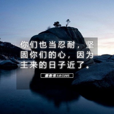 Picture 05 - 雅 各 书 5:8 CUVS - 你 们 也 当 忍 耐 ， 坚 固 你 们 的 - Bible Verse Picture
