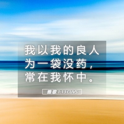 Picture 05 - 雅 歌 1:13 CUVS - 我 以 我 的 良 人 为 一 袋 没 药 ， - Bible Verse Picture