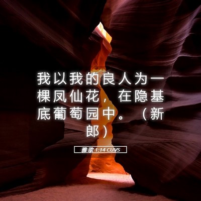 Picture 05 - 雅 歌 1:14 CUVS - 我 以 我 的 良 人 为 一 棵 凤 仙 花 - Bible Verse Picture