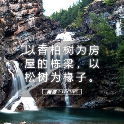 Picture 05 - 雅 歌 1:17 CUVS - 以 香 柏 树 为 房 屋 的 栋 梁 ， 以 - Bible Verse Picture