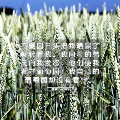 Picture 05 - 雅 歌 1:6 CUVS - 不 要 因 日 头 把 我 晒 黑 了 就 轻 - Bible Verse Picture