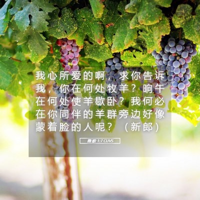 Picture 05 - 雅 歌 1:7 CUVS - 我 心 所 爱 的 啊 ， 求 你 告 诉 我 - Bible Verse Picture
