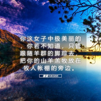 Picture 05 - 雅 歌 1:8 CUVS - 你 这 女 子 中 极 美 丽 的 ， 你 若 - Bible Verse Picture