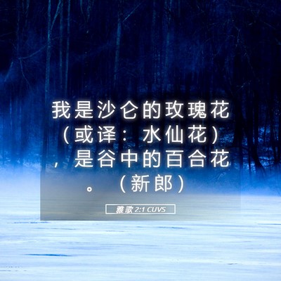 Picture 05 - 雅 歌 2:1 CUVS - 我 是 沙 仑 的 玫 瑰 花 （ 或 译 ： - Bible Verse Picture
