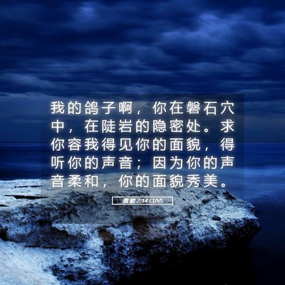 Picture 05 - 雅 歌 2:14 CUVS - 我 的 鸽 子 啊 ， 你 在 磐 石 穴 中 - Bible Verse Picture