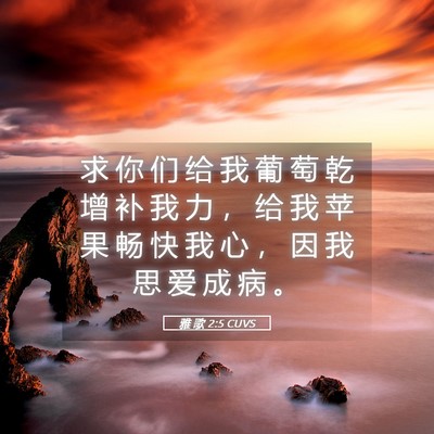 Picture 05 - 雅 歌 2:5 CUVS - 求 你 们 给 我 葡 萄 乾 增 补 我 力 - Bible Verse Picture