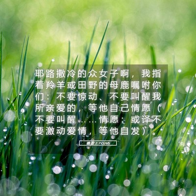 Picture 05 - 雅 歌 2:7 CUVS - 耶 路 撒 冷 的 众 女 子 啊 ， 我 指 - Bible Verse Picture