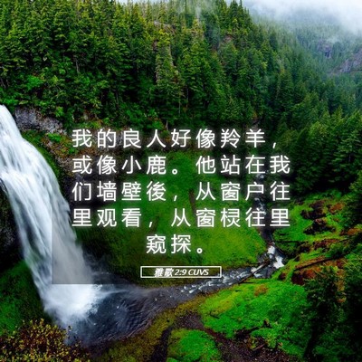 Picture 05 - 雅 歌 2:9 CUVS - 我 的 良 人 好 像 羚 羊 ， 或 像 小 - Bible Verse Picture