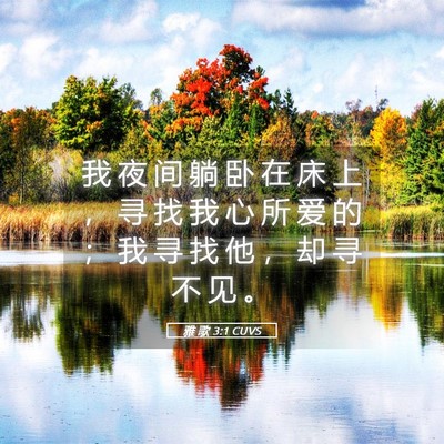 Picture 05 - 雅 歌 3:1 CUVS - 我 夜 间 躺 卧 在 床 上 ， 寻 找 我 - Bible Verse Picture