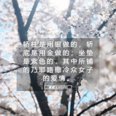 Picture 05 - 雅 歌 3:10 CUVS - 轿 柱 是 用 银 做 的 ， 轿 底 是 用 - Bible Verse Picture