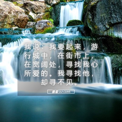 Picture 05 - 雅 歌 3:2 CUVS - 我 说 ： 我 要 起 来 ， 游 行 城 中 - Bible Verse Picture