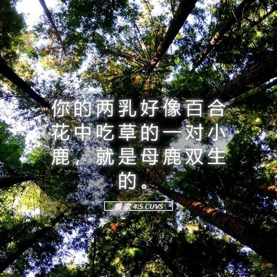 Picture 05 - 雅 歌 4:5 CUVS - 你 的 两 乳 好 像 百 合 花 中 吃 草 - Bible Verse Picture