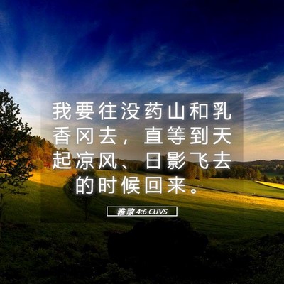 Picture 05 - 雅 歌 4:6 CUVS - 我 要 往 没 药 山 和 乳 香 冈 去 ， - Bible Verse Picture