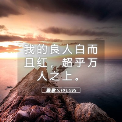 Picture 05 - 雅 歌 5:10 CUVS - 我 的 良 人 白 而 且 红 ， 超 乎 万 - Bible Verse Picture
