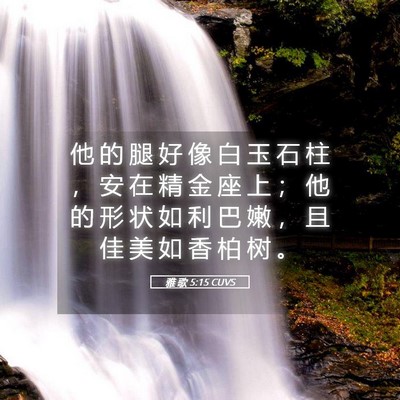 Picture 05 - 雅 歌 5:15 CUVS - 他 的 腿 好 像 白 玉 石 柱 ， 安 在 - Bible Verse Picture