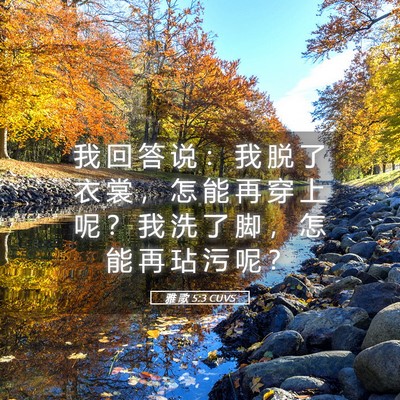 Picture 05 - 雅 歌 5:3 CUVS - 我 回 答 说 ： 我 脱 了 衣 裳 ， 怎 - Bible Verse Picture