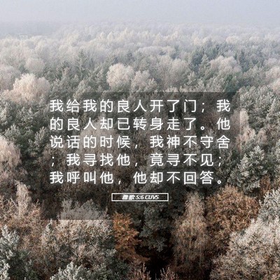 Picture 05 - 雅 歌 5:6 CUVS - 我 给 我 的 良 人 开 了 门 ； 我 的 - Bible Verse Picture