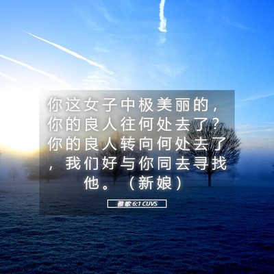 Picture 05 - 雅 歌 6:1 CUVS - 你 这 女 子 中 极 美 丽 的 ， 你 的 - Bible Verse Picture