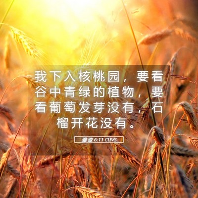 Picture 05 - 雅 歌 6:11 CUVS - 我 下 入 核 桃 园 ， 要 看 谷 中 青 - Bible Verse Picture