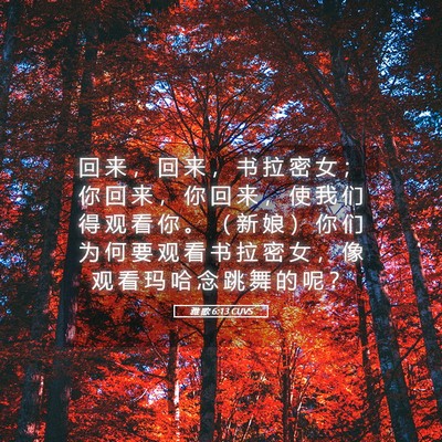 Picture 05 - 雅 歌 6:13 CUVS - 回 来 ， 回 来 ， 书 拉 密 女 ； 你 - Bible Verse Picture